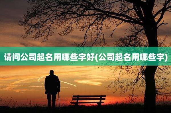 请问公司起名用哪些字好(公司起名用哪些字)