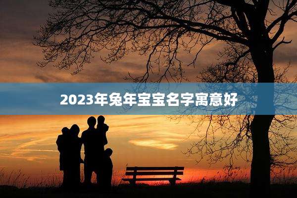 2023年兔年宝宝名字寓意好