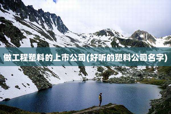 做工程塑料的上市公司(好听的塑料公司名字)