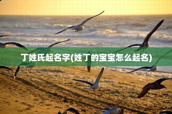 丁姓氏起名字(姓丁的宝宝怎么起名)