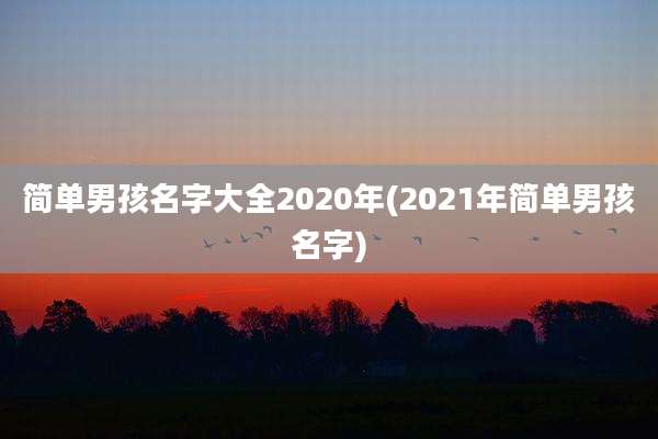 简单男孩名字大全2020年(2021年简单男孩名字)