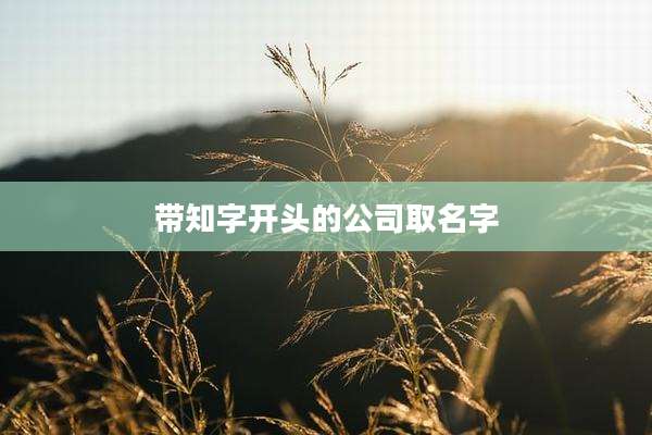 带知字开头的公司取名字