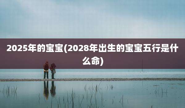 2025年的宝宝(2028年出生的宝宝五行是什么命)
