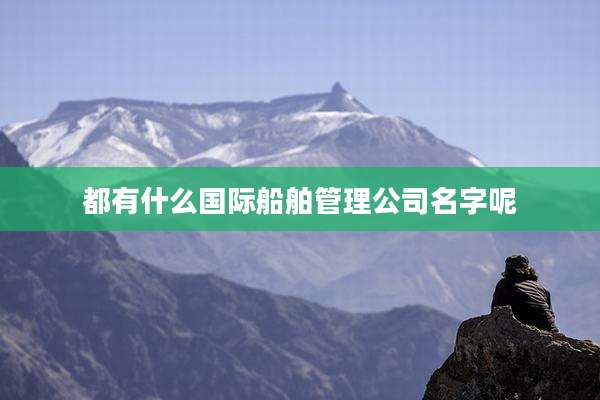 都有什么国际船舶管理公司名字呢