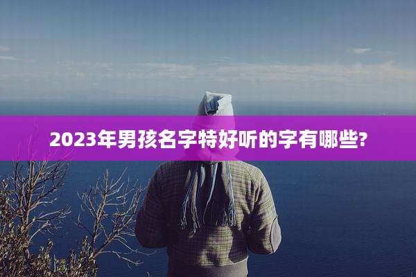 2023年男孩名字特好听的字有哪些?