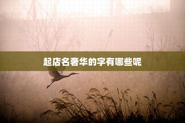 起店名奢华的字有哪些呢
