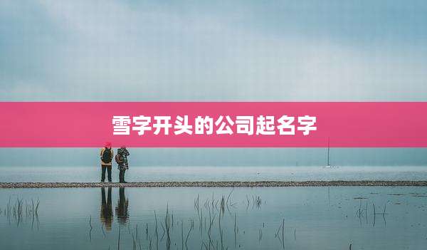 雪字开头的公司起名字