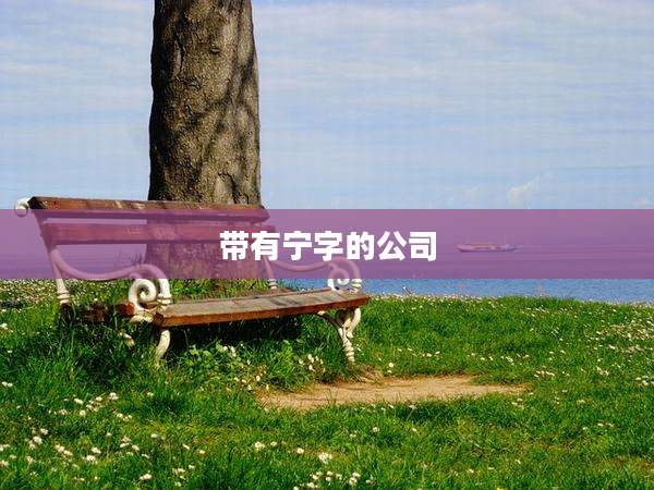 带有宁字的公司