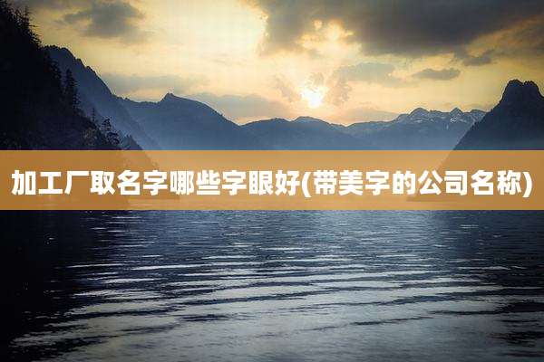 加工厂取名字哪些字眼好(带美字的公司名称)