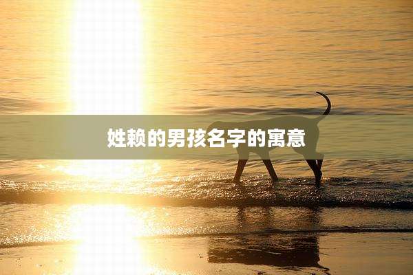姓赖的男孩名字的寓意