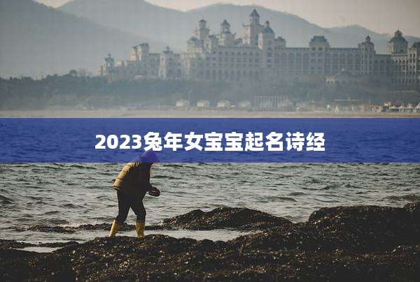 2023兔年女宝宝起名诗经
