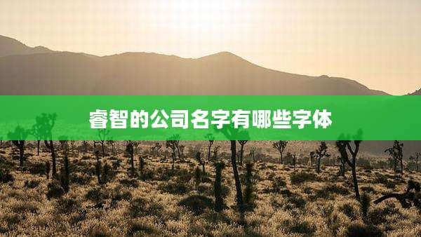 睿智的公司名字有哪些字体