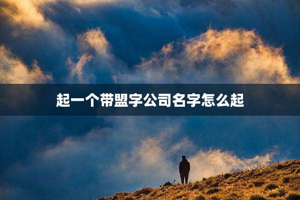 起一个带盟字公司名字怎么起