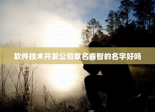 软件技术开发公司取名睿智的名字好吗