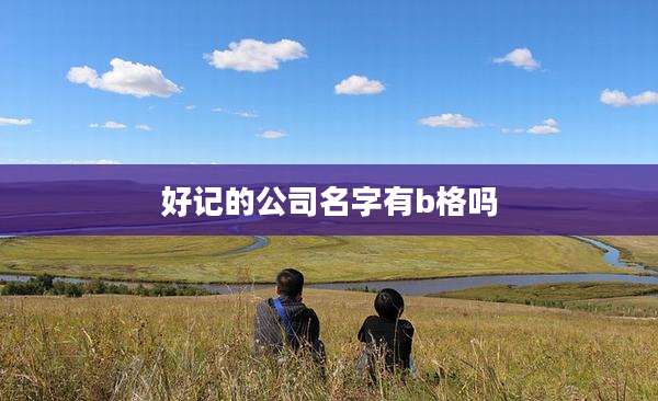 好记的公司名字有b格吗