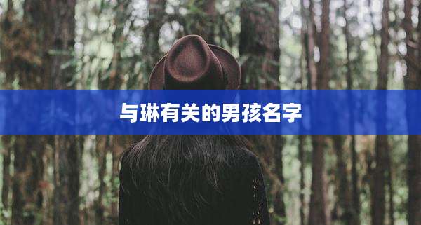 与琳有关的男孩名字