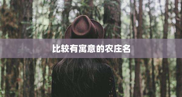 比较有寓意的农庄名