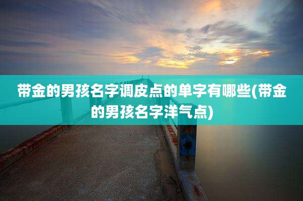 带金的男孩名字调皮点的单字有哪些(带金的男孩名字洋气点)
