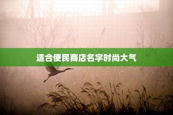 适合便民商店名字时尚大气