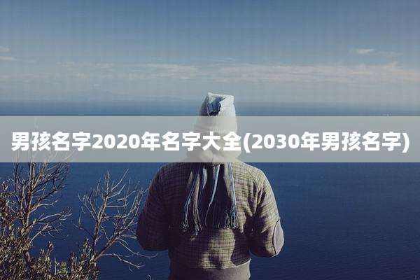男孩名字2020年名字大全(2030年男孩名字)