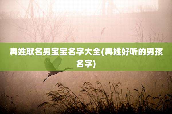 冉姓取名男宝宝名字大全(冉姓好听的男孩名字)