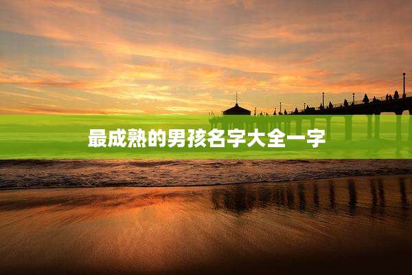 最成熟的男孩名字大全一字