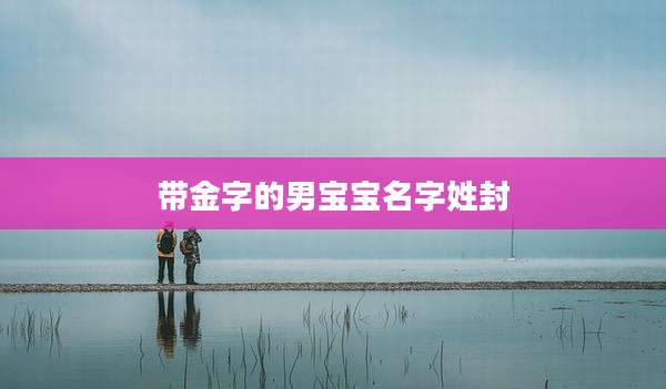 带金字的男宝宝名字姓封