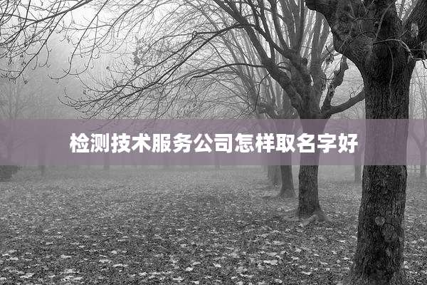 检测技术服务公司怎样取名字好
