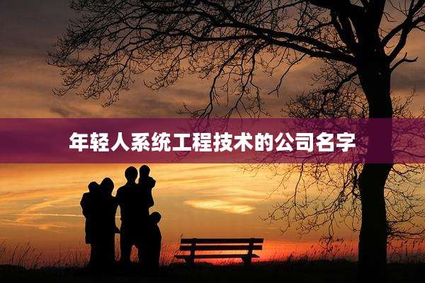年轻人系统工程技术的公司名字