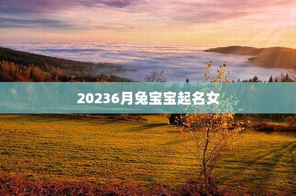 20236月兔宝宝起名女