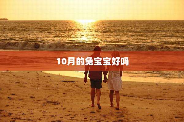 10月的兔宝宝好吗