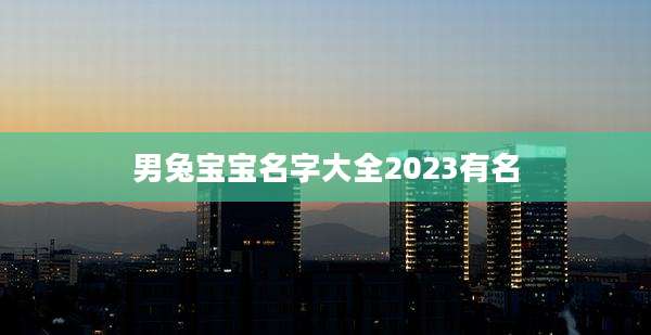 男兔宝宝名字大全2023有名
