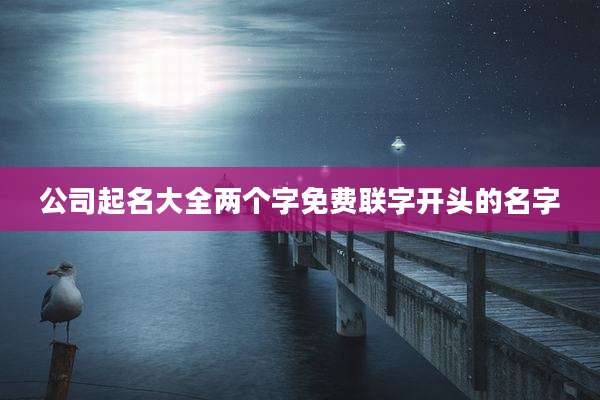公司起名大全两个字免费联字开头的名字