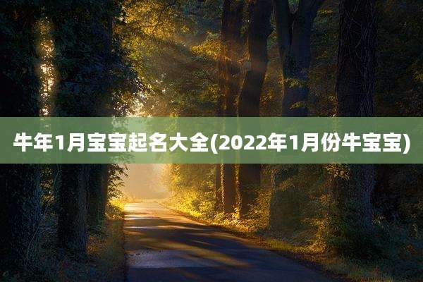 牛年1月宝宝起名大全(2022年1月份牛宝宝)
