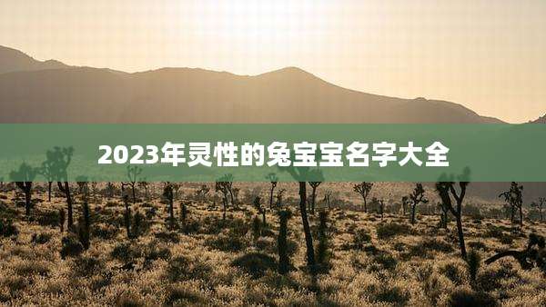 2023年灵性的兔宝宝名字大全