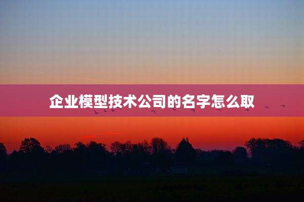 企业模型技术公司的名字怎么取