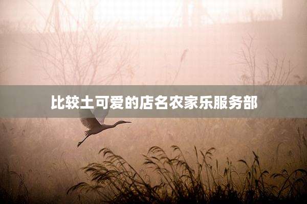 比较土可爱的店名农家乐服务部