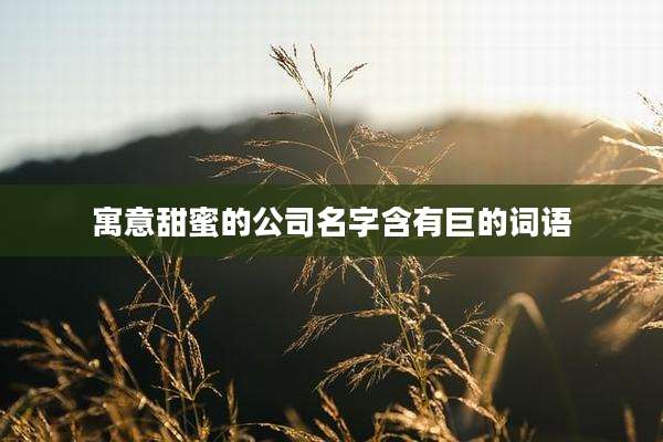 寓意甜蜜的公司名字含有巨的词语