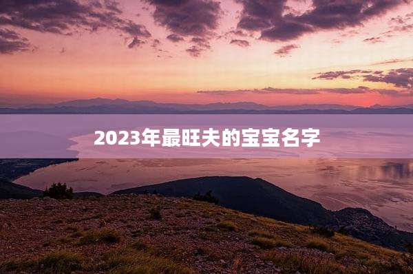 2023年最旺夫的宝宝名字