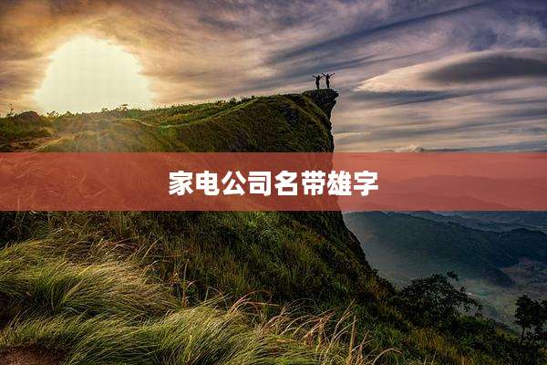 家电公司名带雄字