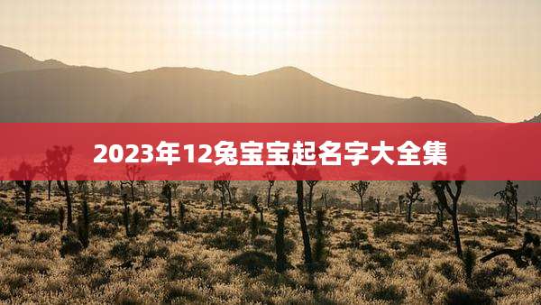 2023年12兔宝宝起名字大全集