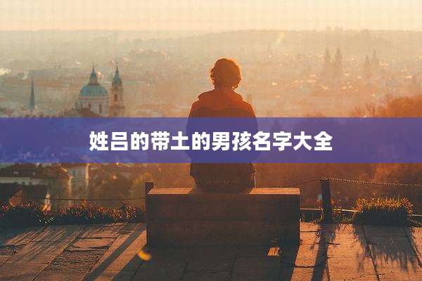 姓吕的带土的男孩名字大全