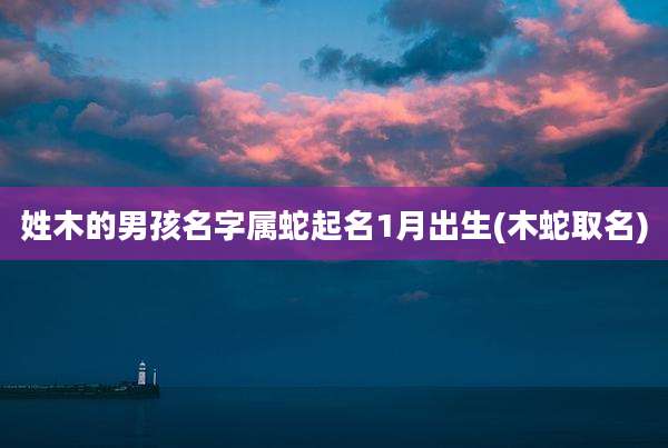 姓木的男孩名字属蛇起名1月出生(木蛇取名)