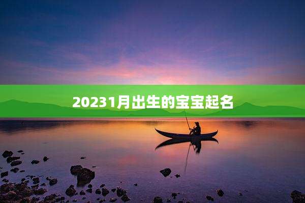 20231月出生的宝宝起名