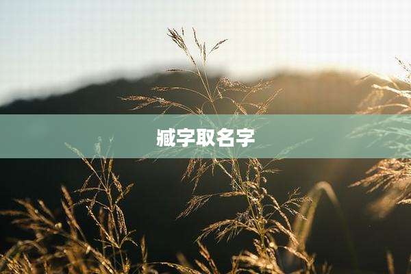 臧字取名字