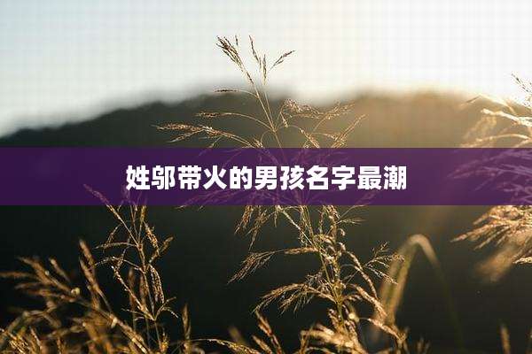 姓邬带火的男孩名字最潮