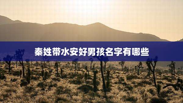 秦姓带水安好男孩名字有哪些
