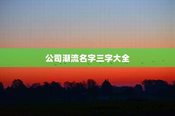 公司潮流名字三字大全