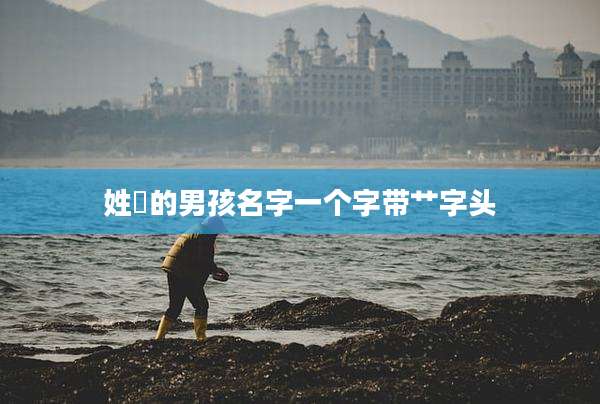 姓嵺的男孩名字一个字带艹字头