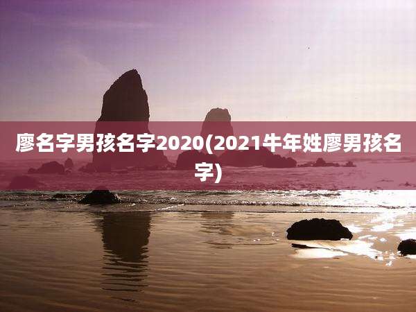 廖名字男孩名字2020(2021牛年姓廖男孩名字)